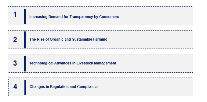 Emerging Trends in the Antibiotic Free Meat Market