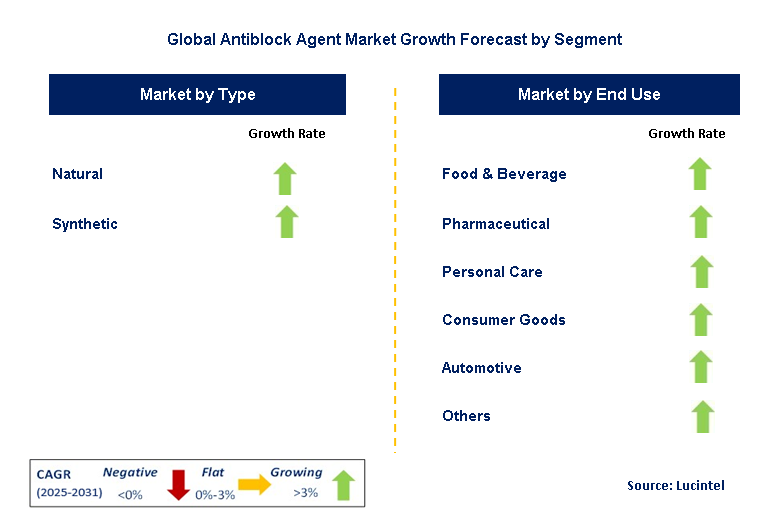 Antiblock Agent Market by Segment