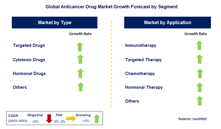 Anticancer Drug Market by Segment