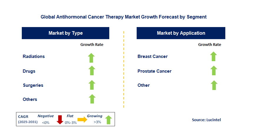Antihormonal Cancer Therapy Market by Segment