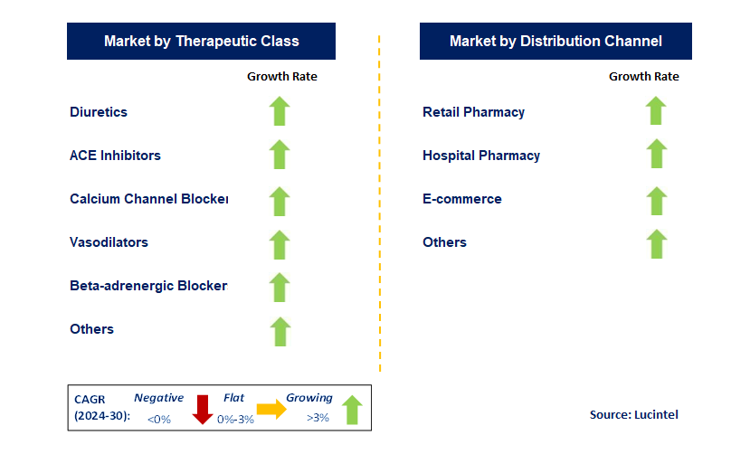 Antihypertensive Drug by Segment