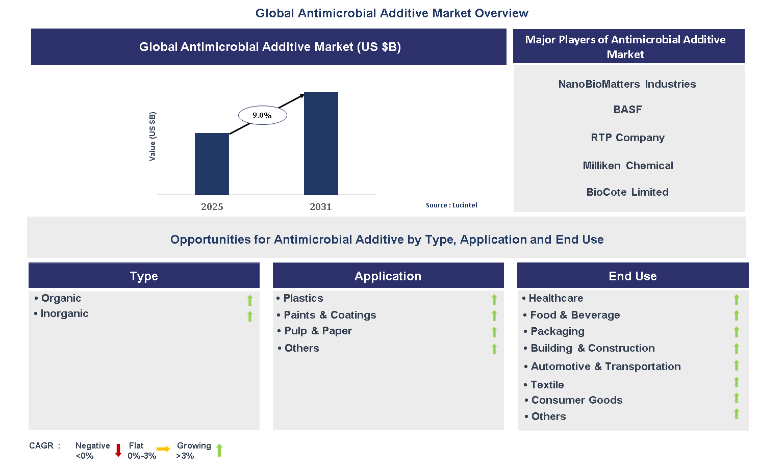 Antimicrobial Additive Market Trends and Forecast