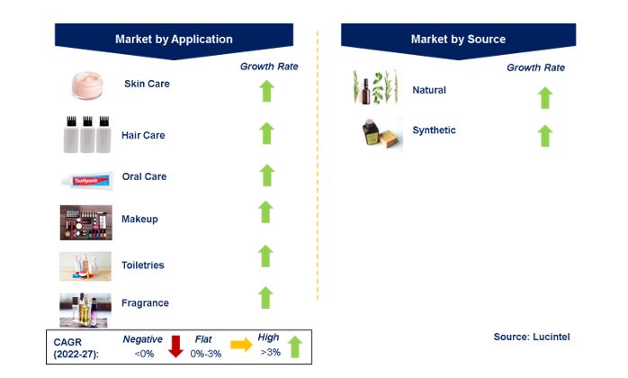 Antimicrobial Active Ingredients in the Global Personal Care Market by Segments