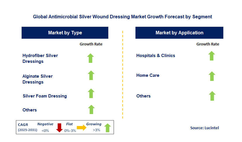 Antimicrobial Silver Wound Dressing Market by Segment