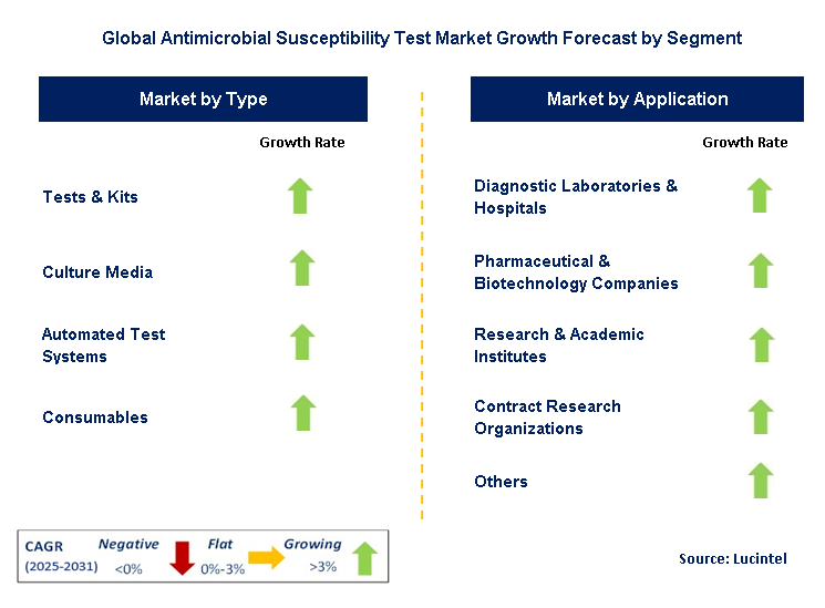 Antimicrobial Susceptibility Test Market by Segment