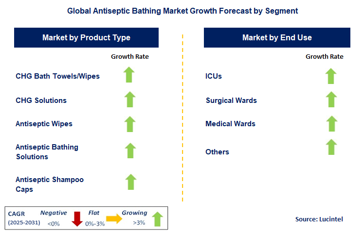 Antiseptic Bathing Market by Segment