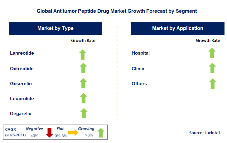 Antitumor Peptide Drug Market by Segment