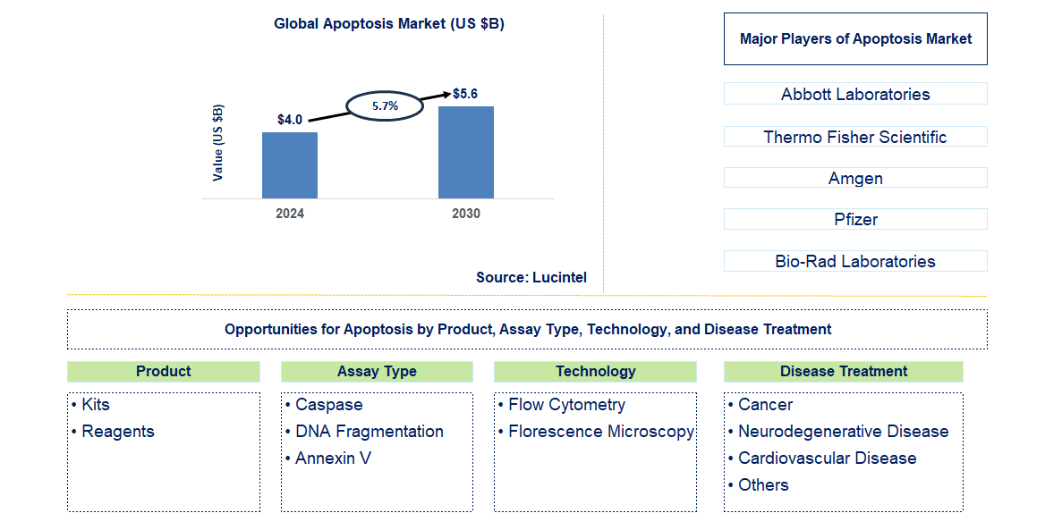 Apoptosis Trends and Forecast