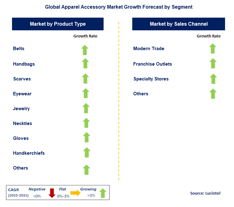 Apparel Accessory Market by Segment