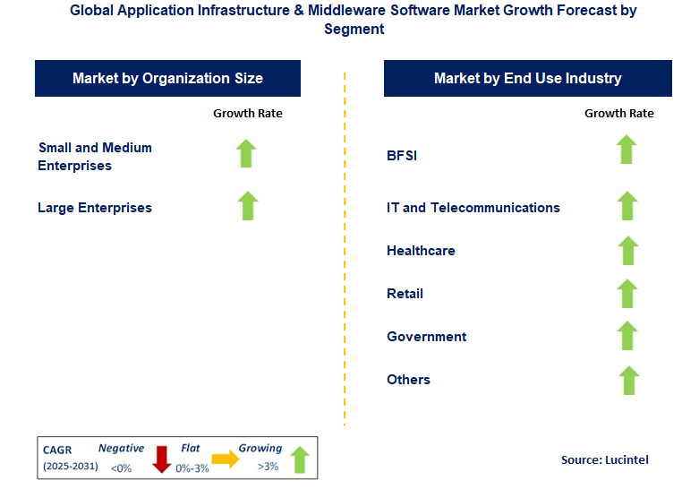 Application Infrastructure & Middleware Software Market by Segment