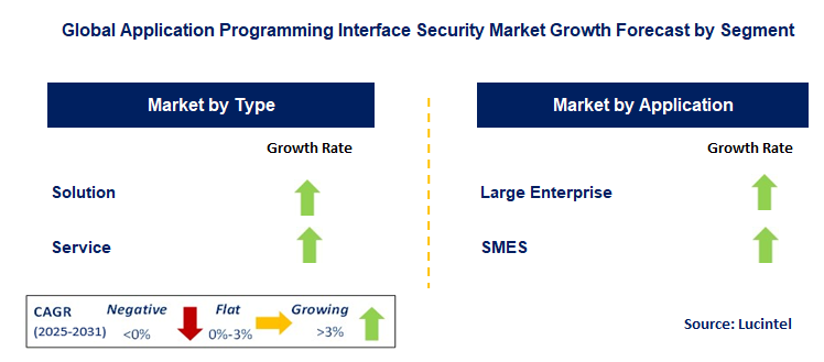 Application Programming Interface Security Market by Segment