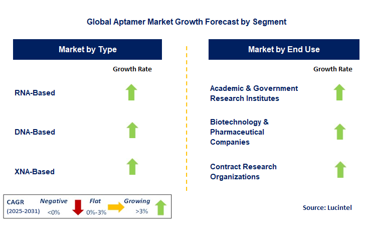 Aptamer Market by Segment