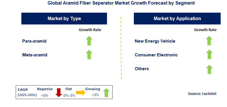 Aramid Fiber Separator Market by Segment