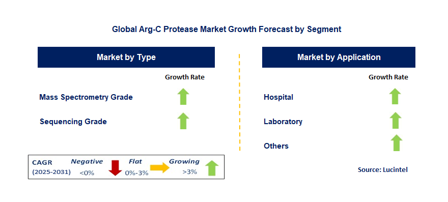 Arg-C Protease Market by Segment