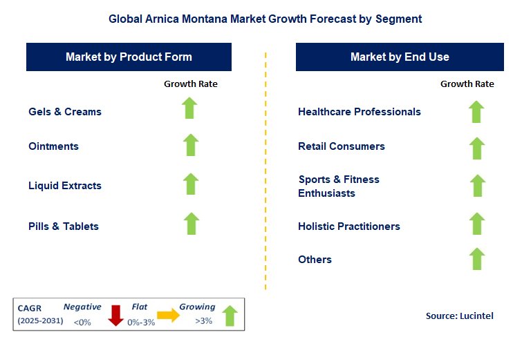 Arnica Montana Market by Segment