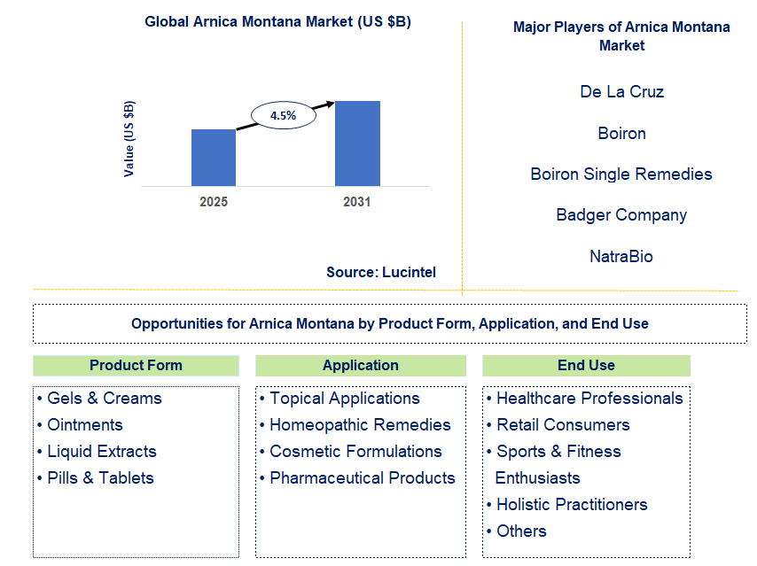 Arnica Montana Market Trends and Forecast