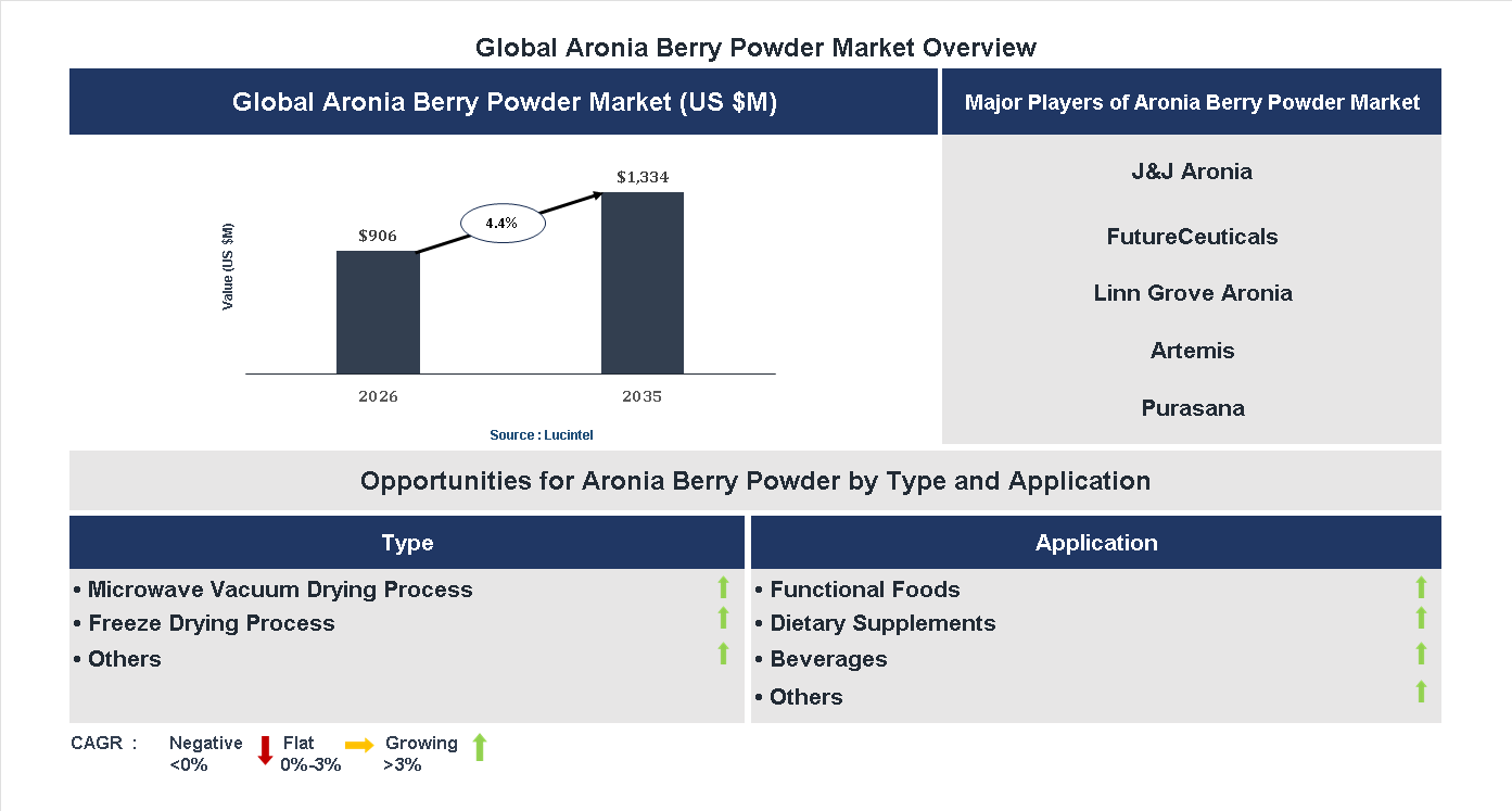 Aronia Berry Powder Market Trends and Forecast