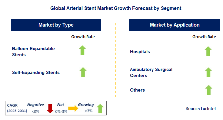 Arterial Stent Market by Segment