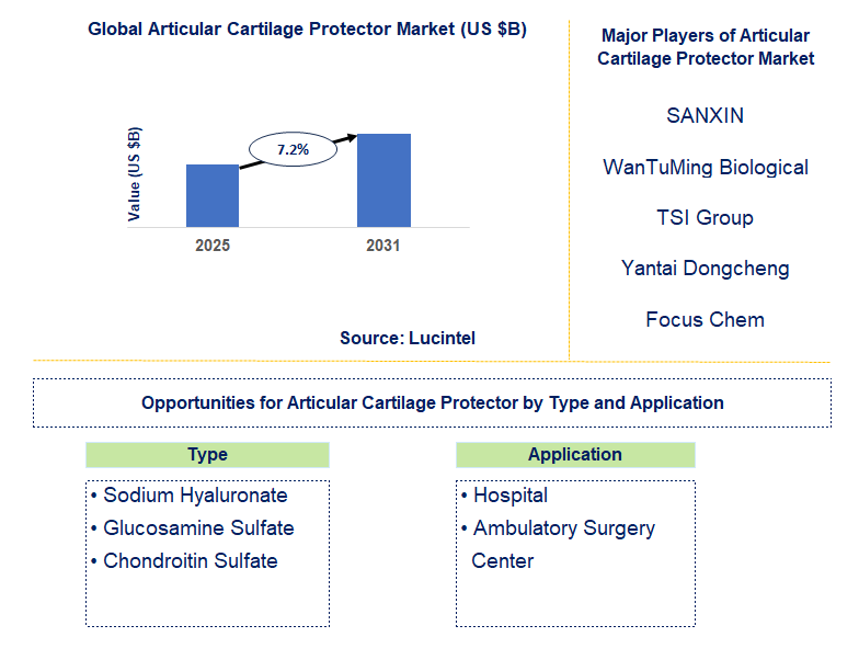 Articular Cartilage Protector Market Trends and Forecast