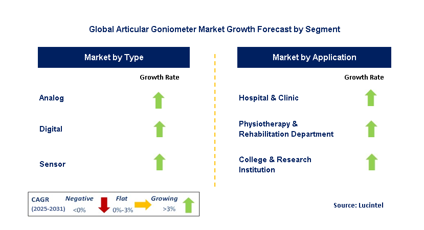 Articular Goniometer Market by Segment