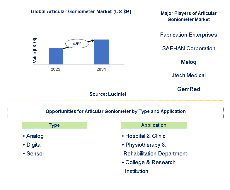 Articular Goniometer Market Trends and Forecast