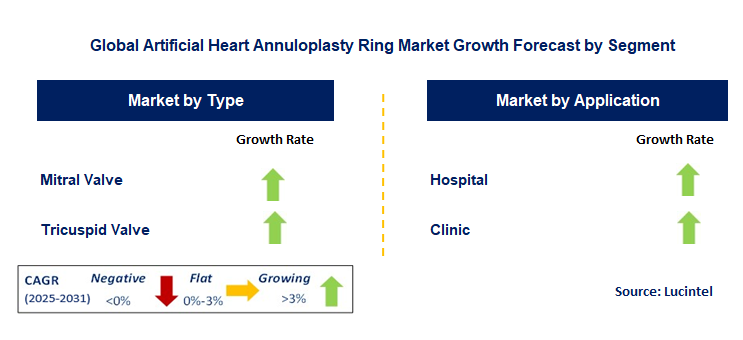 Artificial Heart Annuloplasty Ring Market by Segment