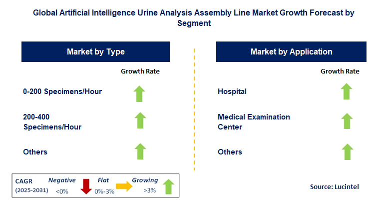 Artificial Intelligence Urine Analysis Assembly Line Market by Segment