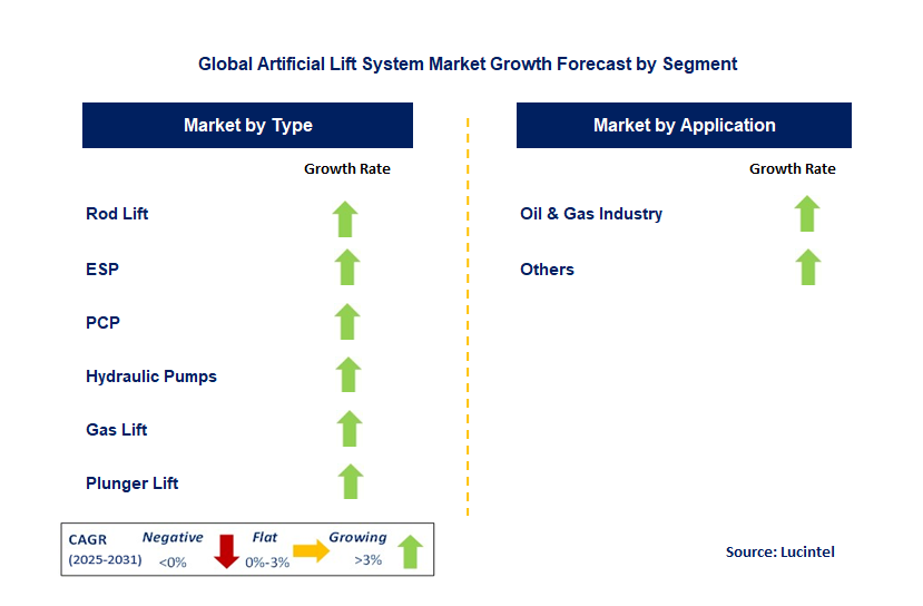 Artificial Lift System Market by Segment