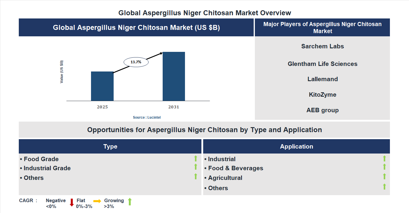 Aspergillus Niger Chitosan Market Trends and Forecast