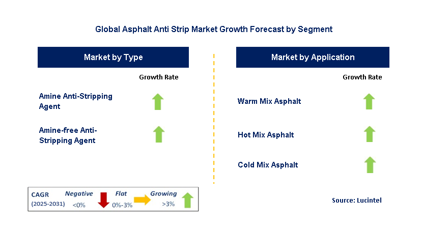 Asphalt Anti Strip Market by Segment