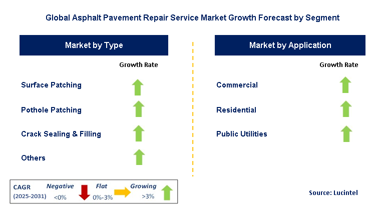 Asphalt Pavement Repair Service Market by Segment