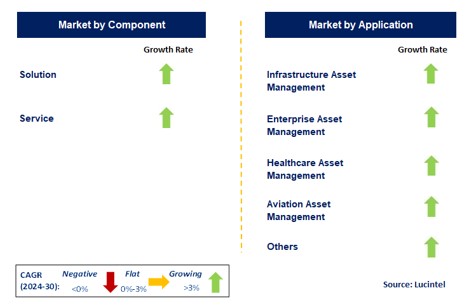 Asset Management by Segment