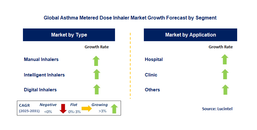 Asthma Metered Dose Inhaler Market by Segment