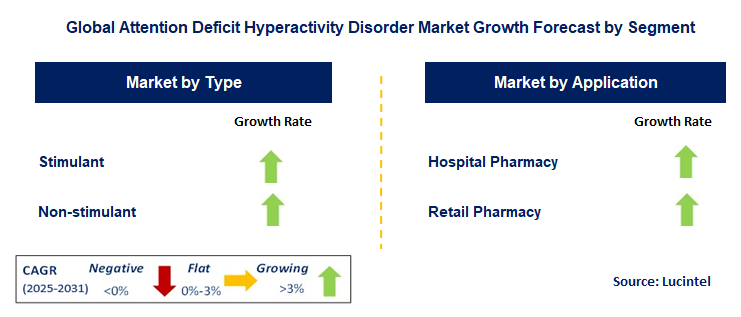 Attention Deficit Hyperactivity Disorder Market by Segment