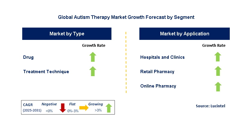 Autism Therapy Market by Segment