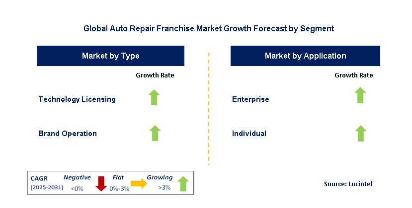 Auto Repair Franchise Market by Segment