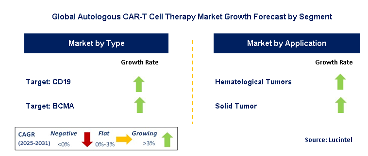 Autologous CAR-T Cell Therapy Market by Segment