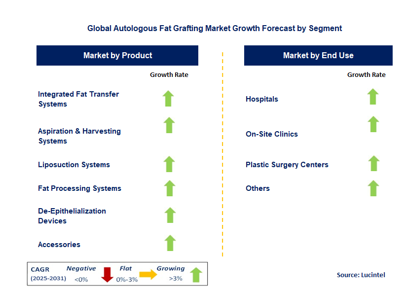 Autologous Fat Grafting Market by Segment