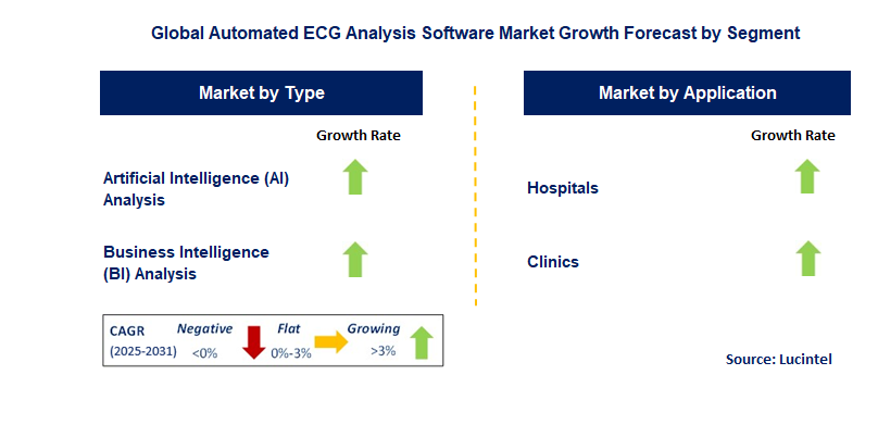 Automated ECG Analysis Software Market by Segment