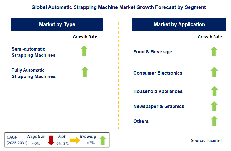Automatic Strapping Machine Market by Segment