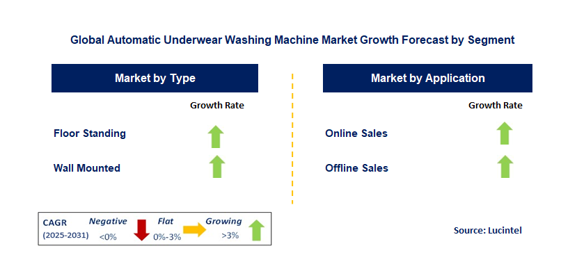 Automatic Underwear Washing Machine Market by Segment