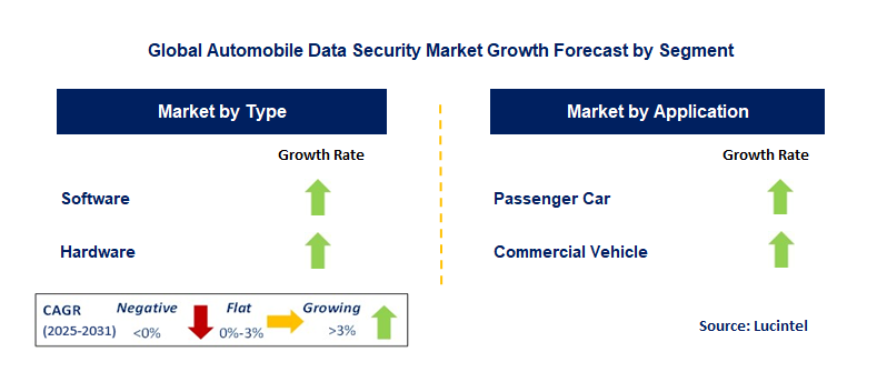 Automobile Data Security Market by Segment