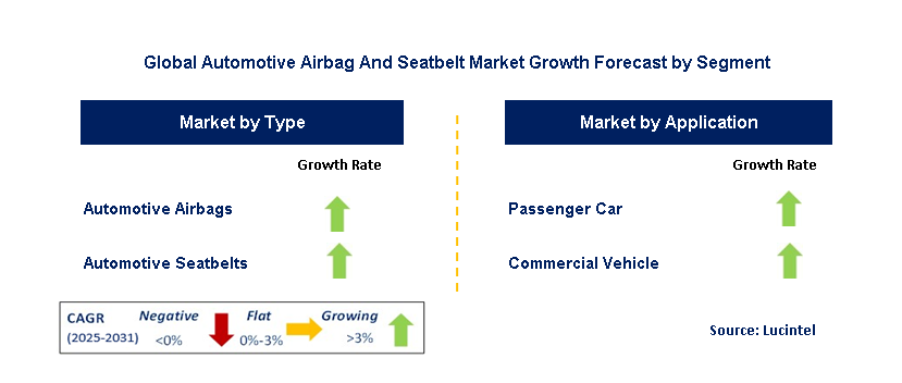 Automotive Airbag And Seatbelt Market by Segment