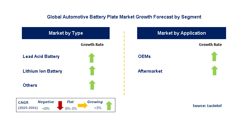 Automotive Battery Plate Market by Segment