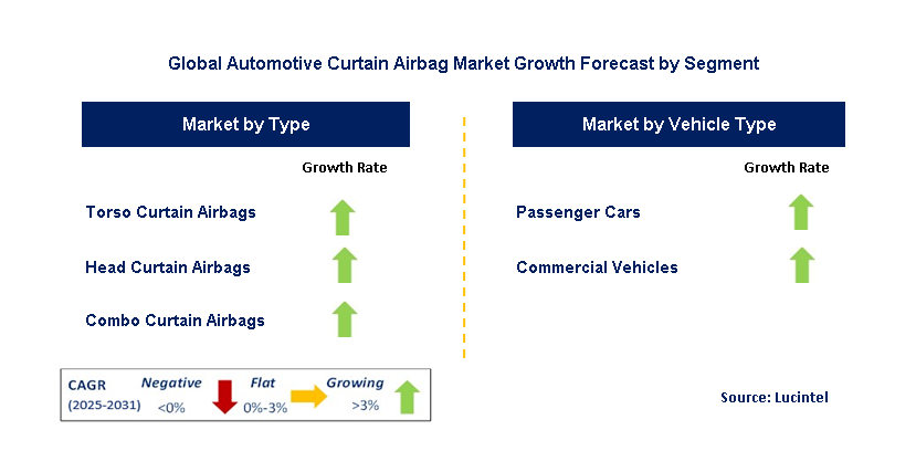 Automotive Curtain Airbag Market by Segment