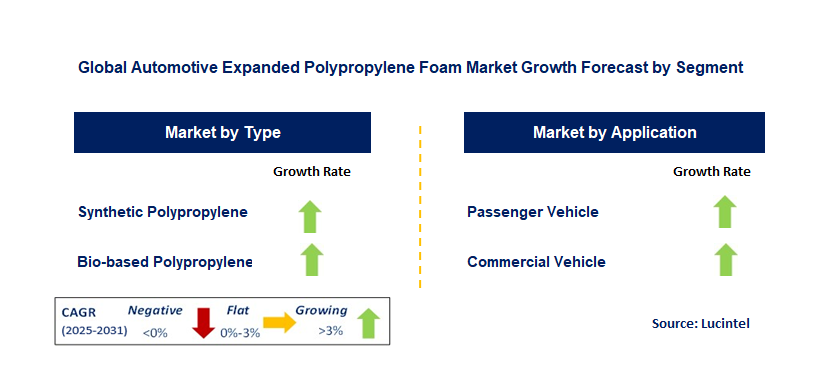 Automotive Expanded Polypropylene Foam Market by Segment