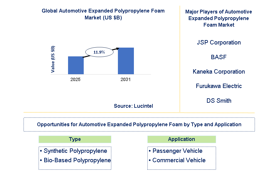 Automotive Expanded Polypropylene Foam Market Trends and Forecast