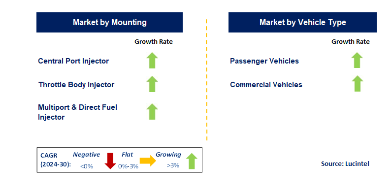 Automotive Fuel Injector by Segment