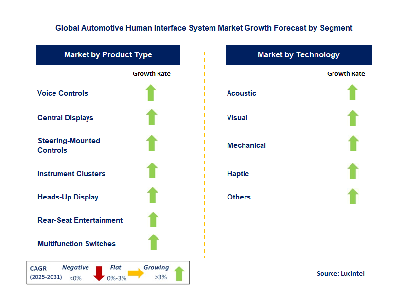 Automotive Human Interface System Market by Segment