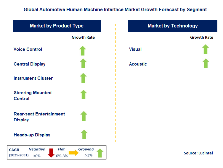 Automotive Human Machine Interface Market by Segment